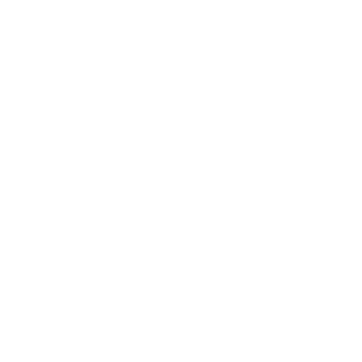 Foton Global